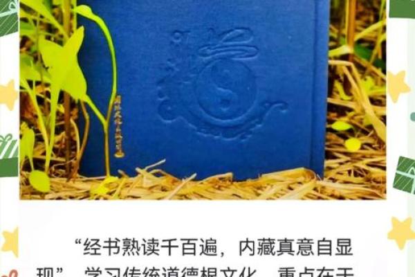 中国风水文化_易经黄帝内经和道德经式微的根源是什么