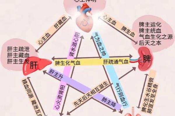 中国风水文化_易经黄帝内经和道德经式微的根源是什么