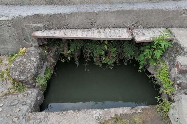 水坑上盖房子风水好吗 水坑上盖房子风水好吗