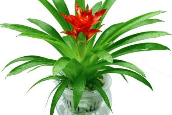 12月开运：什么情况需调整风水