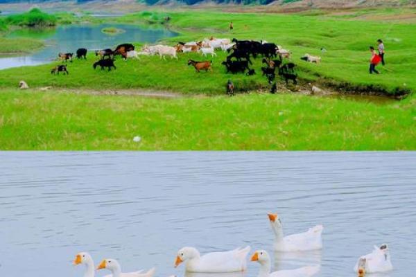 外出游玩要注意什么风水- 外出游玩要注意什么风水-