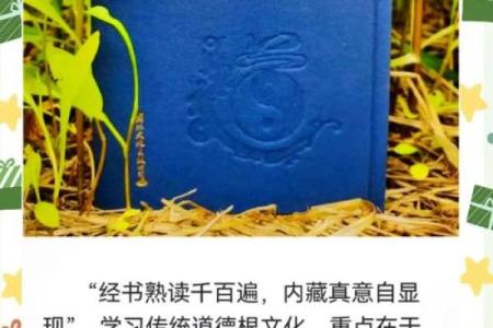 中国风水文化_易经黄帝内经和道德经式微的根源是什么