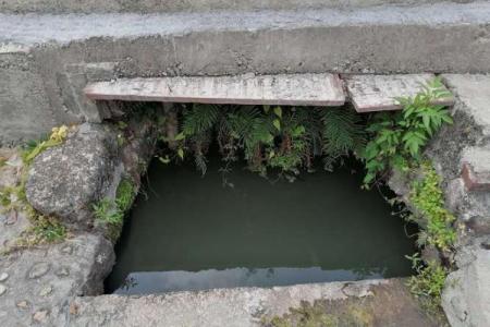 水坑上盖房子风水好吗