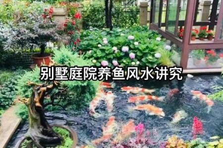 房子东面建鱼池风水好吗