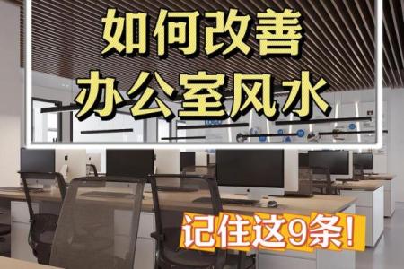 办公室风水摆设与布局提升财运小知识