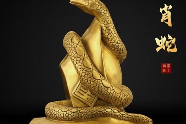 女人最佳风水属相