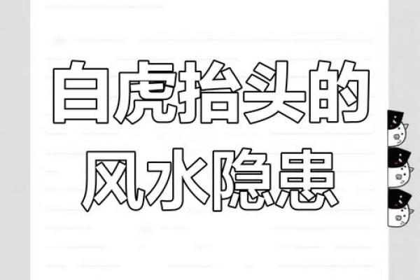 风水揭秘，永远不要做的九件事
