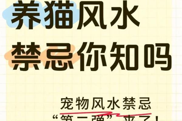 什么房子养猫更好风水好的 什么房子养猫更好风水好的