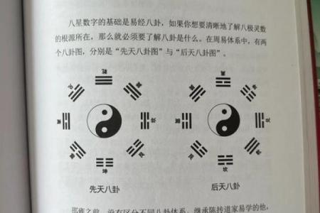 十个数字，揭示易经风水、命理八字等术数的本质奥秘！_1