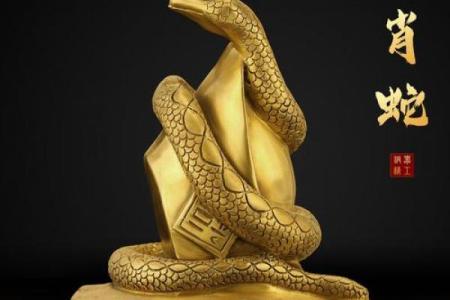 女人最佳风水属相