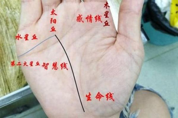 事业线和感情线连在一起的人风水好不好 事业线和感情线连在一起的人风水好不好