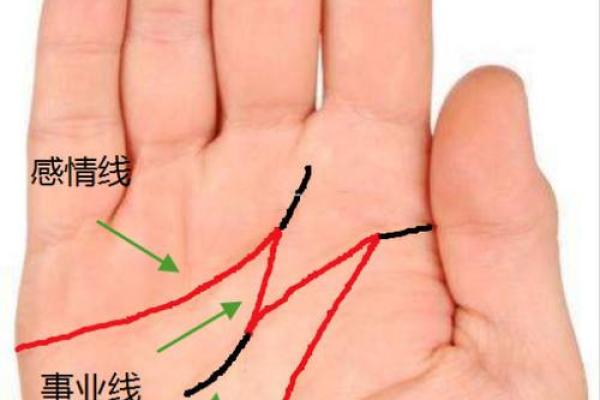 事业线和感情线连在一起的人风水好不好 事业线和感情线连在一起的人风水好不好
