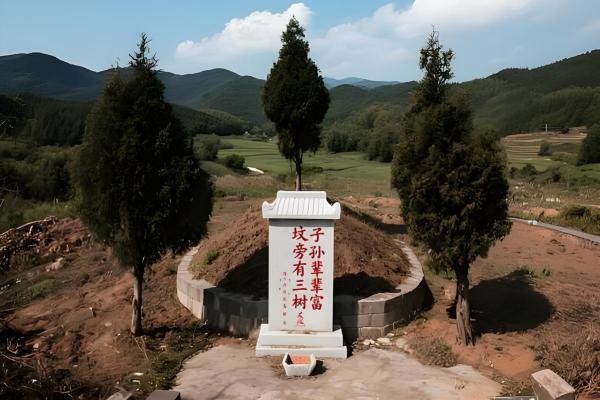 农村坟地风水大全有什么讲究怎么看