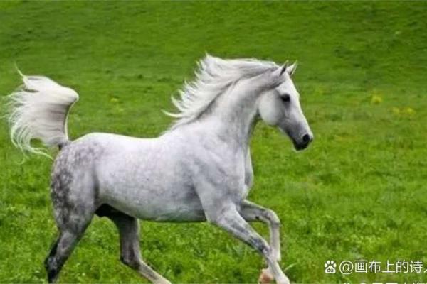 风水出生好时辰女孩为什么难得午时贵 风水出生好时辰女孩为什么难得午时贵