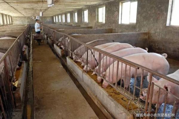 猪圈上面盖房子风水