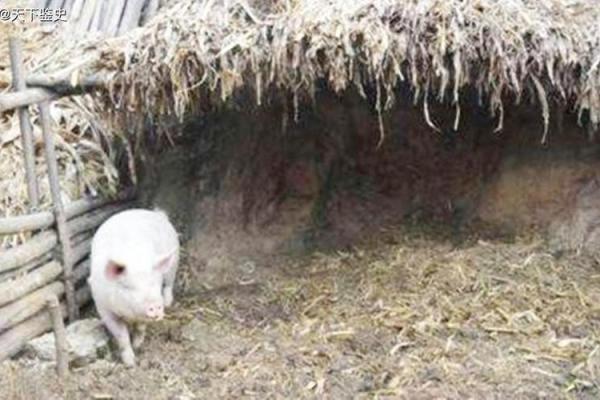 猪圈上面盖房子风水