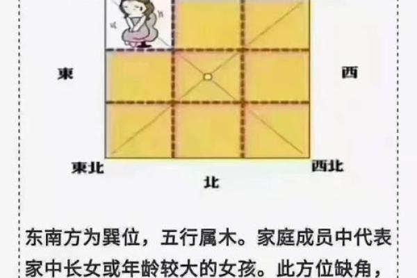 窗户的单数双数风水 窗户的单数双数风水