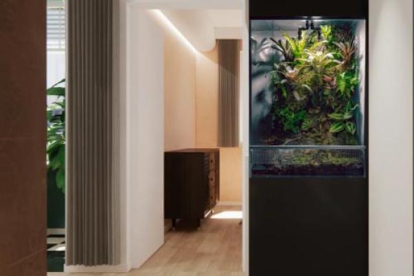 居家玄关装修风水知识