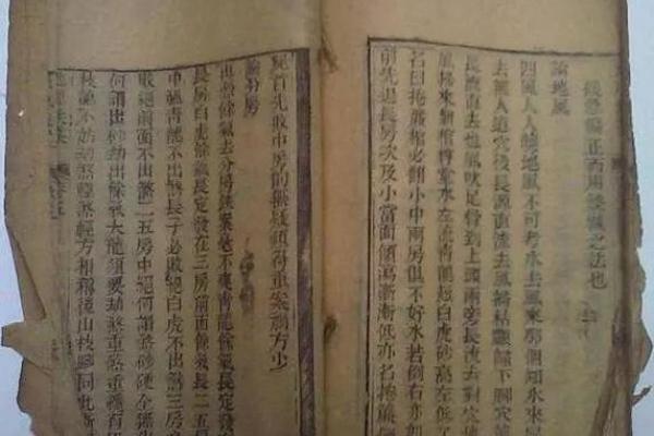 风水学上胎记中的有说明什么