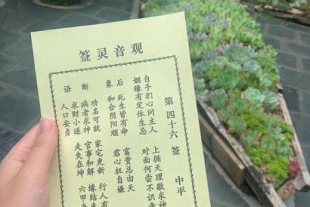 观音灵签86签解签离婚