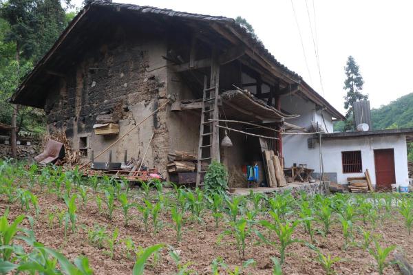 在山里改造老房子好吗风水 在山里改造老房子好吗风水