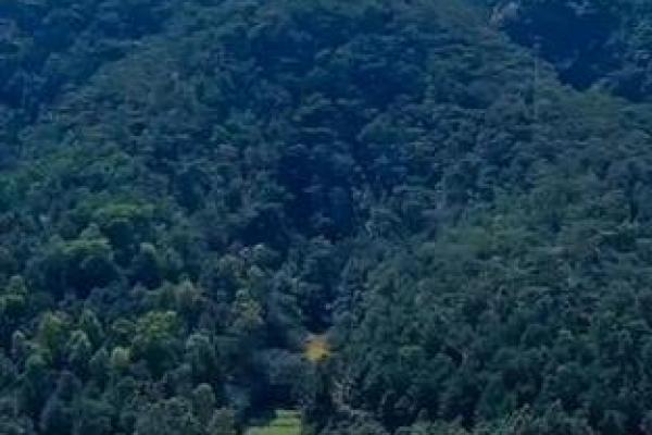 平原风水_你能晒一晒给大家分享吗 平原风水_你能晒一晒给大家分享吗