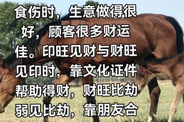 风水财运_人这辈子的财运有多少其实是安排好的 风水财运_人这辈子的财运有多少其实是安排好的