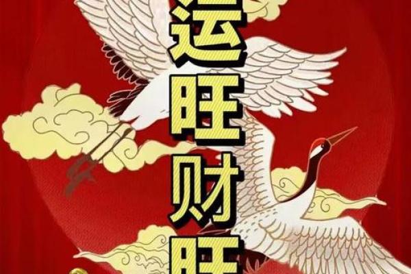 手机号风水查询