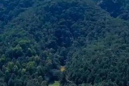 平原风水_你能晒一晒给大家分享吗