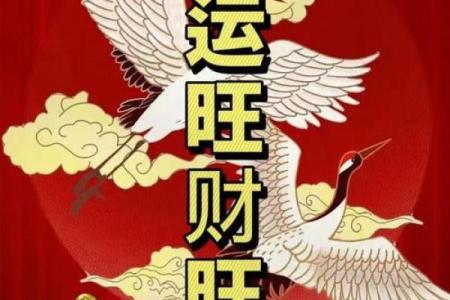 手机号风水查询