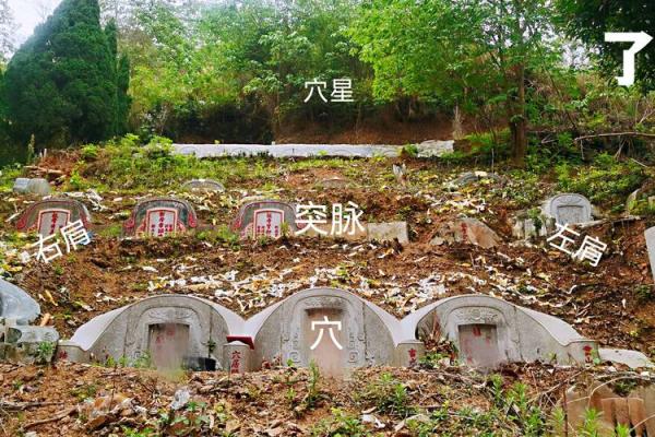 怎么看祖坟风水好坏 怎么看祖坟风水好坏