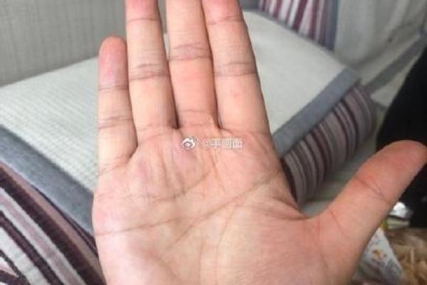 风水观点女子右手假断掌手相解析 风水观点女子右手假断掌手相解析