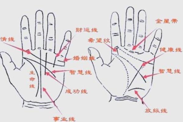 风水观点女子右手假断掌手相解析 风水观点女子右手假断掌手相解析