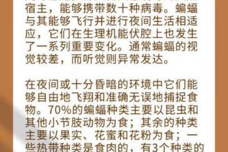 蝙蝠入屋是不吉利的吗风水上讲预示着什么-