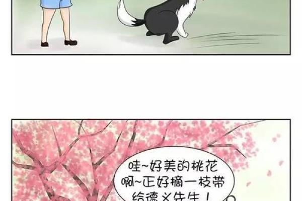 婚恋之防烂桃花的风水怎样做的