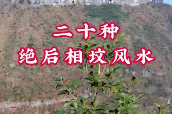 坟墓风水,把握这些后代定富贵 坟墓风水,把握这些后代定富贵