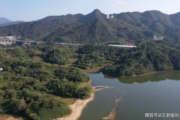 什么人最急需风水的帮助? 什么人最急需风水的帮助?