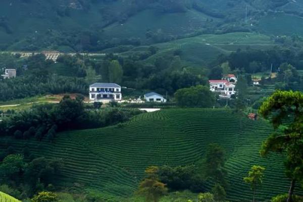 最有效的风水,是人文能量风水 最有效的风水,是人文能量风水