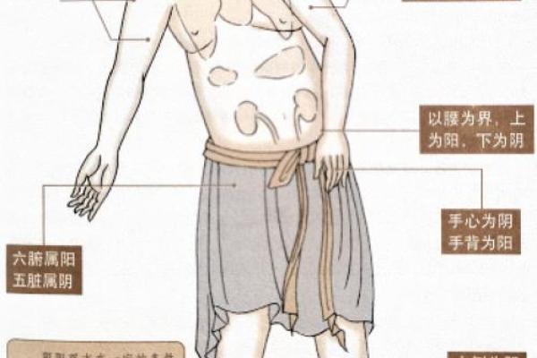 阴阳学说：风水的核心理念精髓