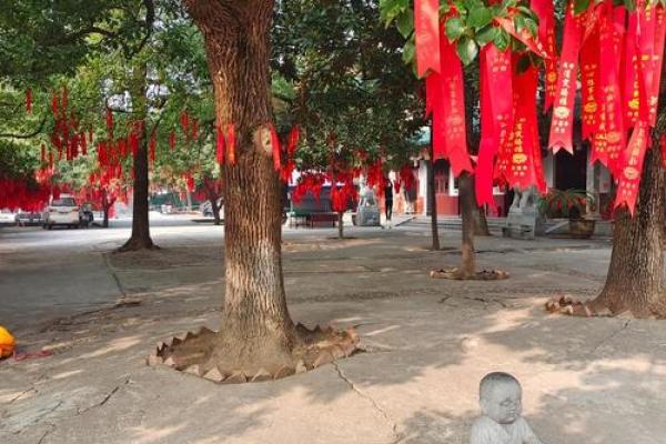 长沙求签很灵的地方  长沙开福寺500罗汉解签大全