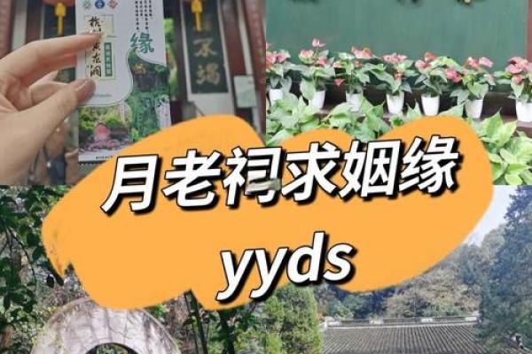 美女找月老姻缘