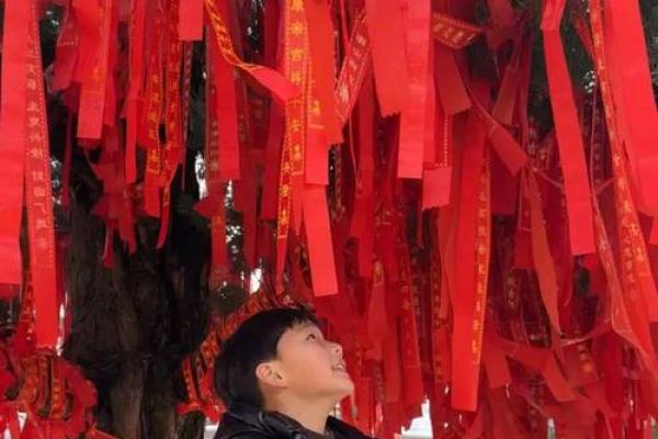 灵签之贵人接引