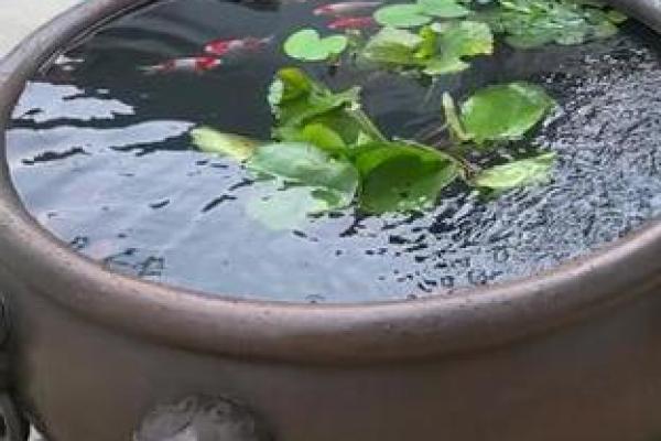 风水农村房子里床头是水缸