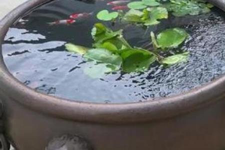 风水农村房子里床头是水缸