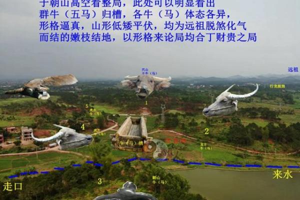 后辈出贵人祖坟风水：贵子之地