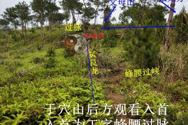 后辈出贵人祖坟风水：贵子之地