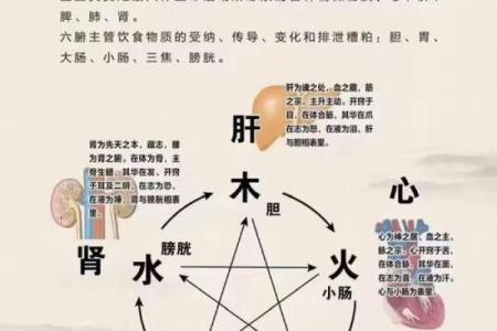 风水的意思_你的状态就是更好的风水什么意思