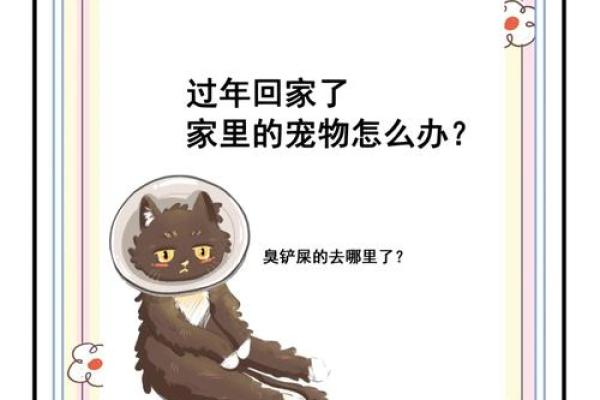 风水：家中这方位不宜安置宠物