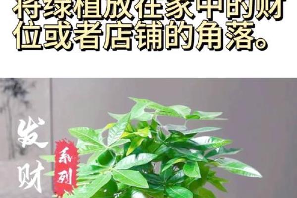 助运,家居风水如何摆放旺事业 助运,家居风水如何摆放旺事业