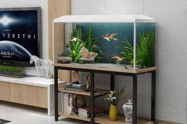 办公室养鱼风水也有讲究 不注意的话就犯了大忌